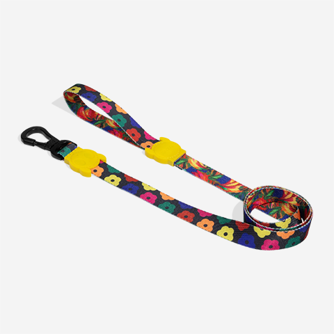Samba | Leash
