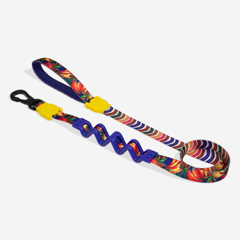 Samba | Ruff Leash