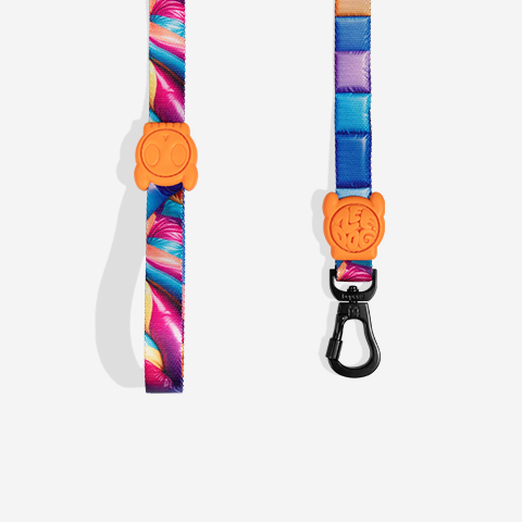 H3D Bounce | Leash