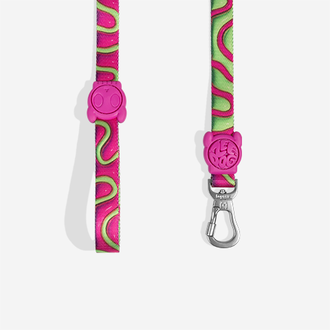 H3D Jelly | Leash