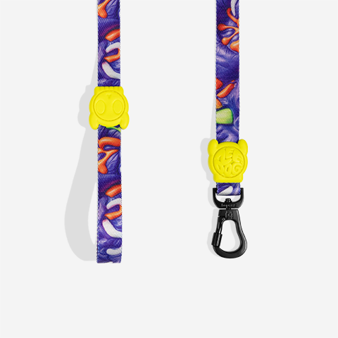 H3D Puff | Leash