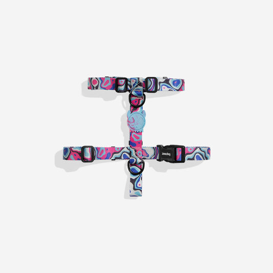 Blast | H-Harness