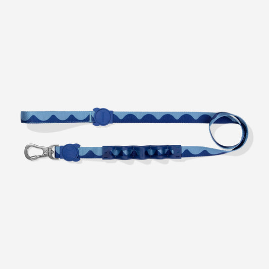 Swell | Ruff Leash