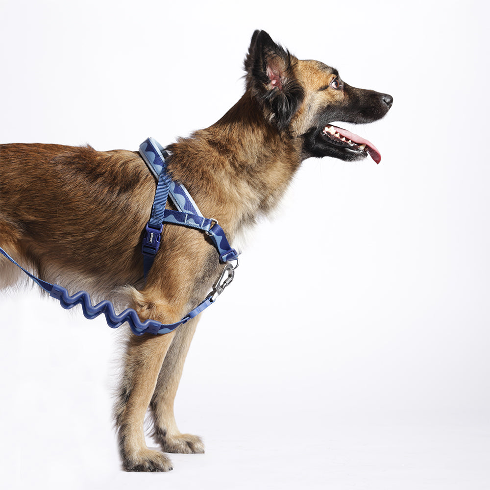 Swell | SofterWalk Harness