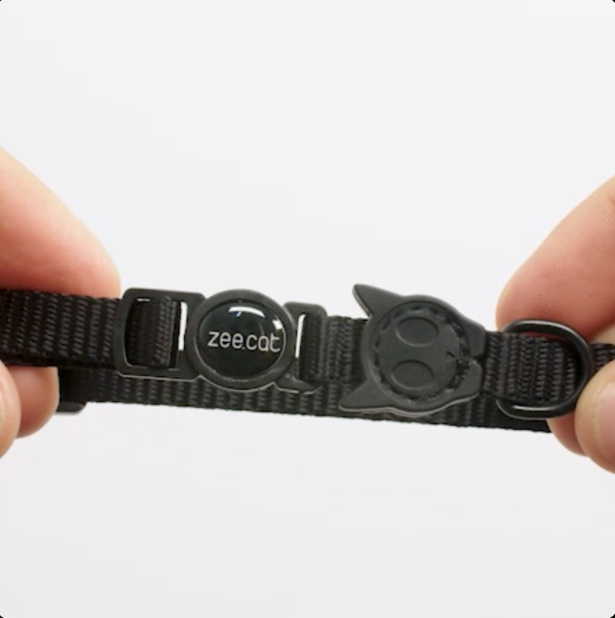 Travis | Cat Collar
