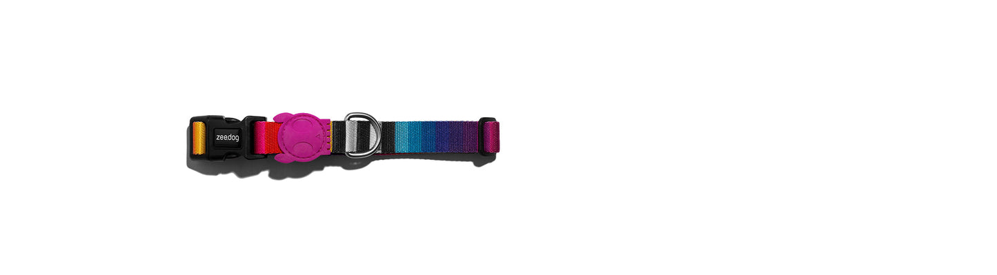 dog-collars-prisma-zee-dog