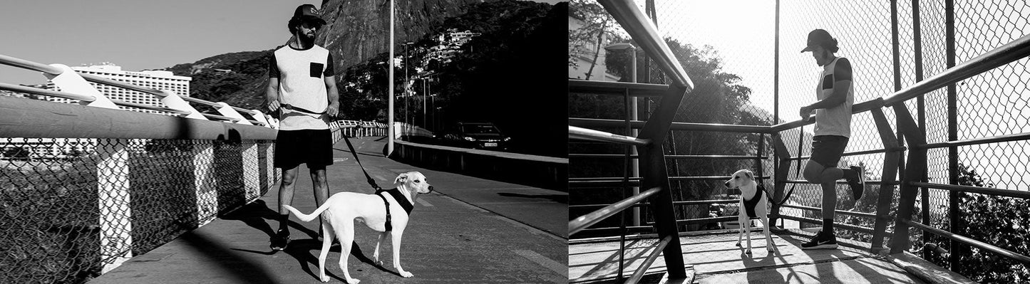 Classic Gotham | Leash