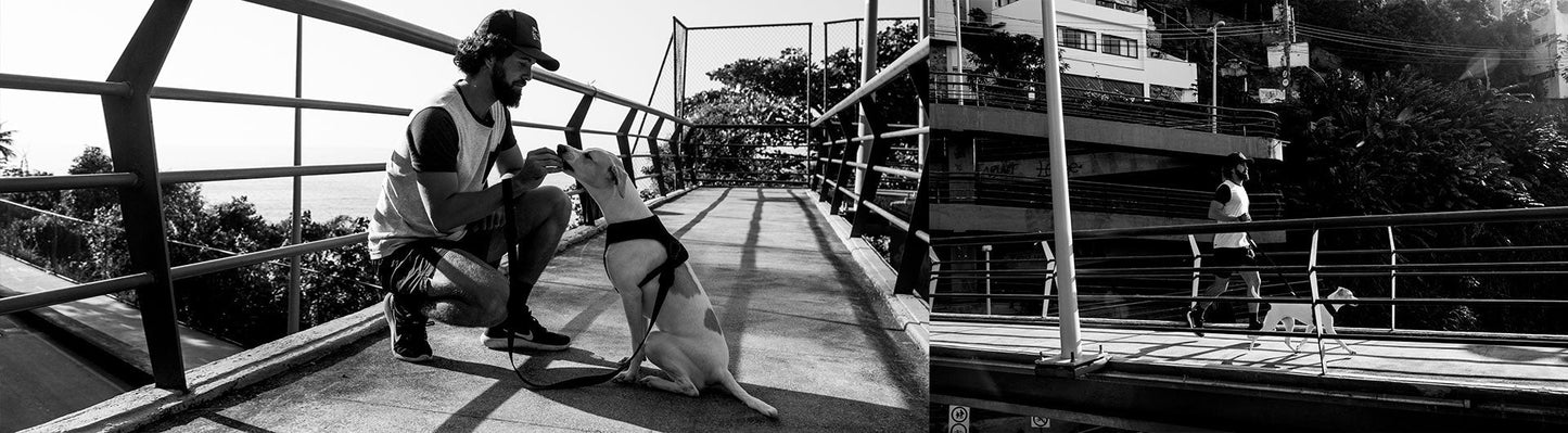 Classic Gotham | Leash