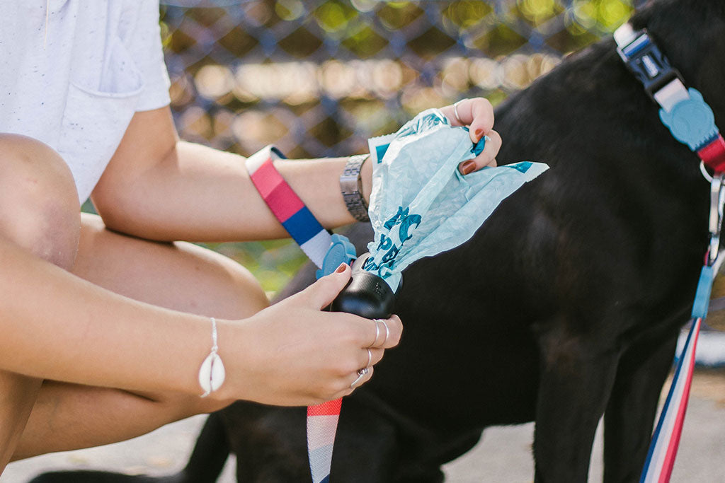 Blue Plant Based Dog Poop Bags | Zee.Dog