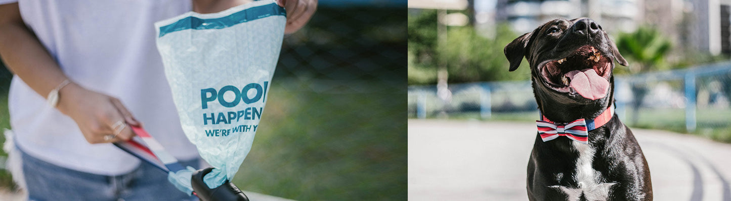 Blue | Plant Based Poop Bags