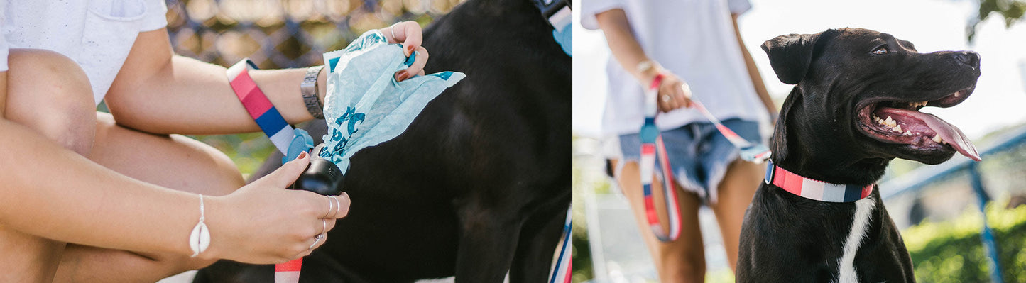 Blue | Plant Based Poop Bags