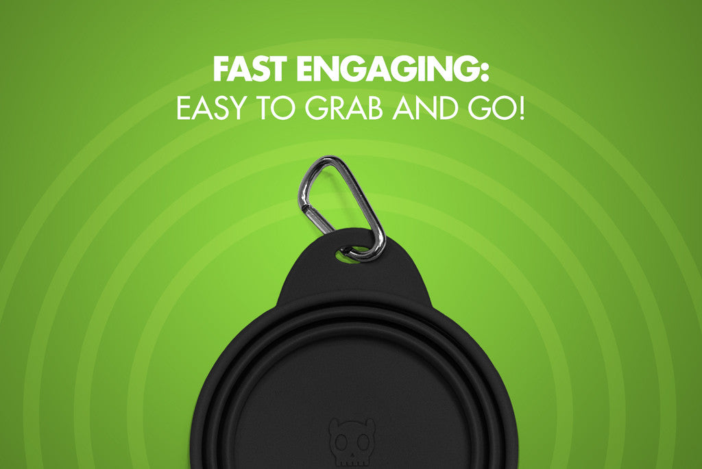 Black Go Bowl - Fast Engaging | Zee.Dog
