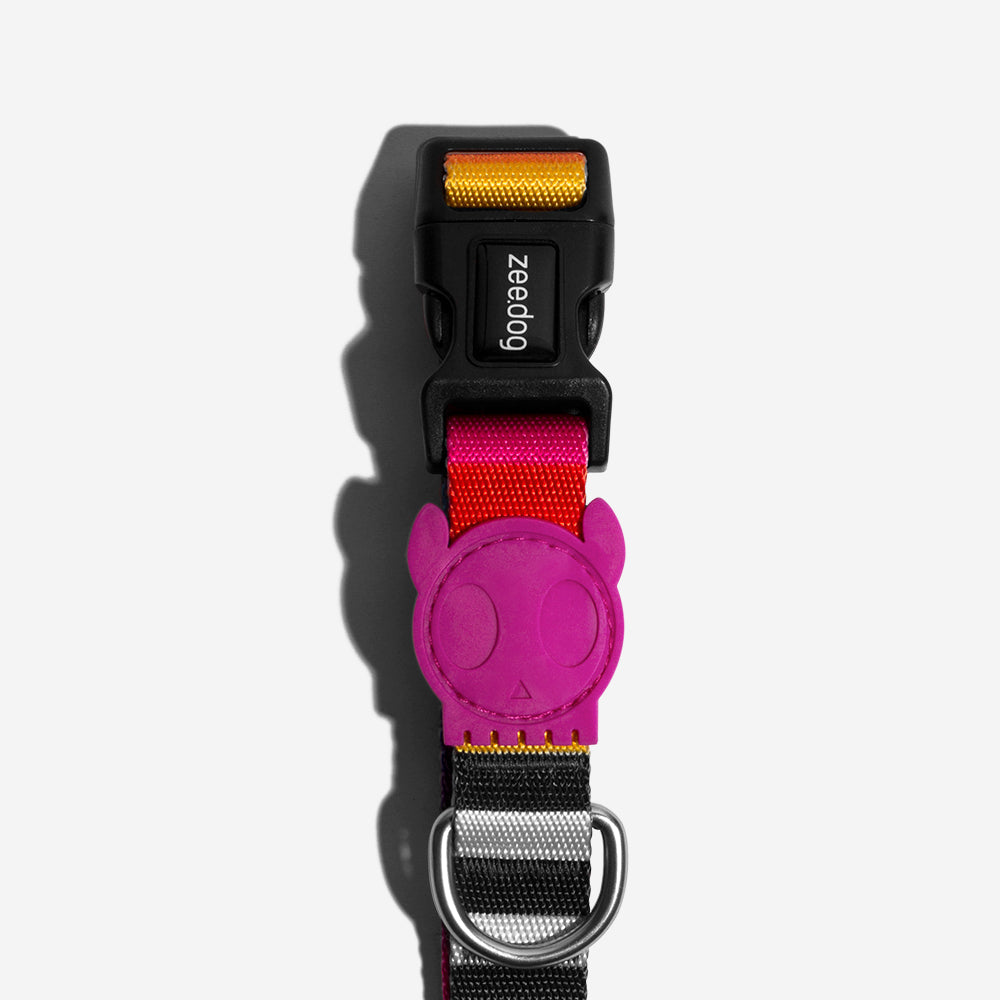 Classic Prisma | Collar
