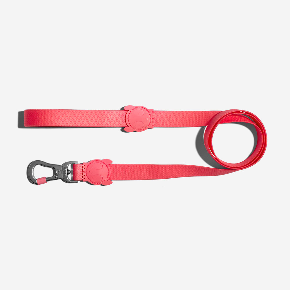 Classic Neopro Bubblegum | Leash