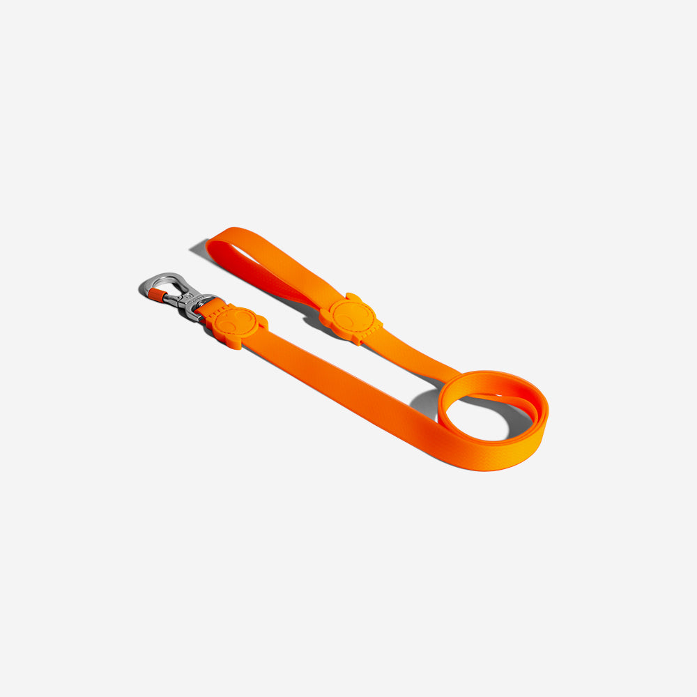 Classic Neopro Tangerine | Leash