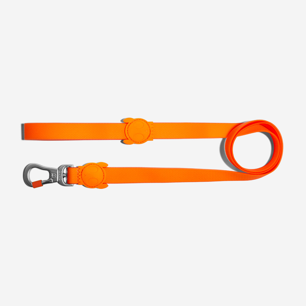 Classic Neopro Tangerine | Leash