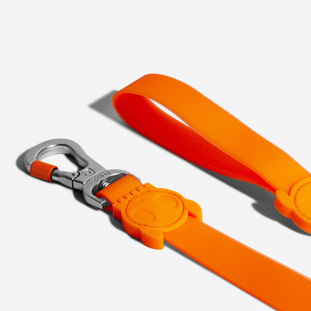 Classic Neopro Tangerine | Leash