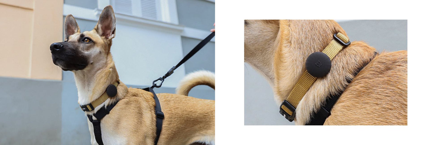 Classic Gotham | AirTag Holder