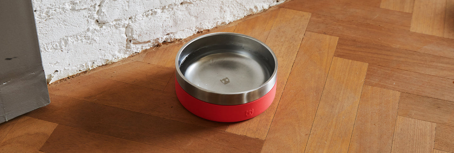 Coral | Tuff Bowl