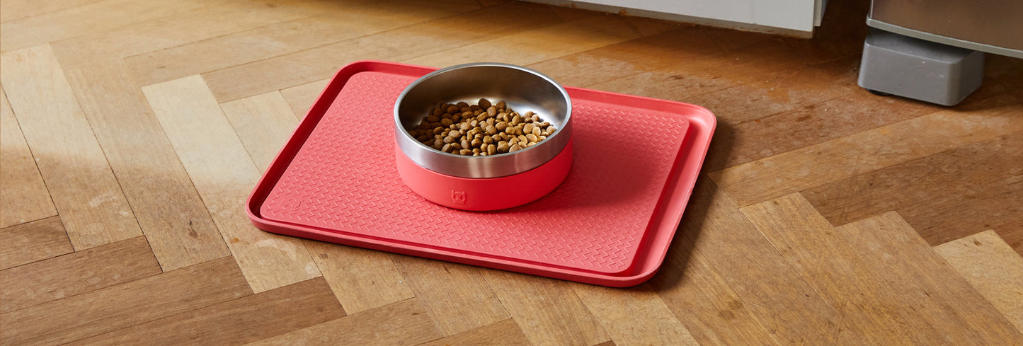 Coral | Tuff Bowl