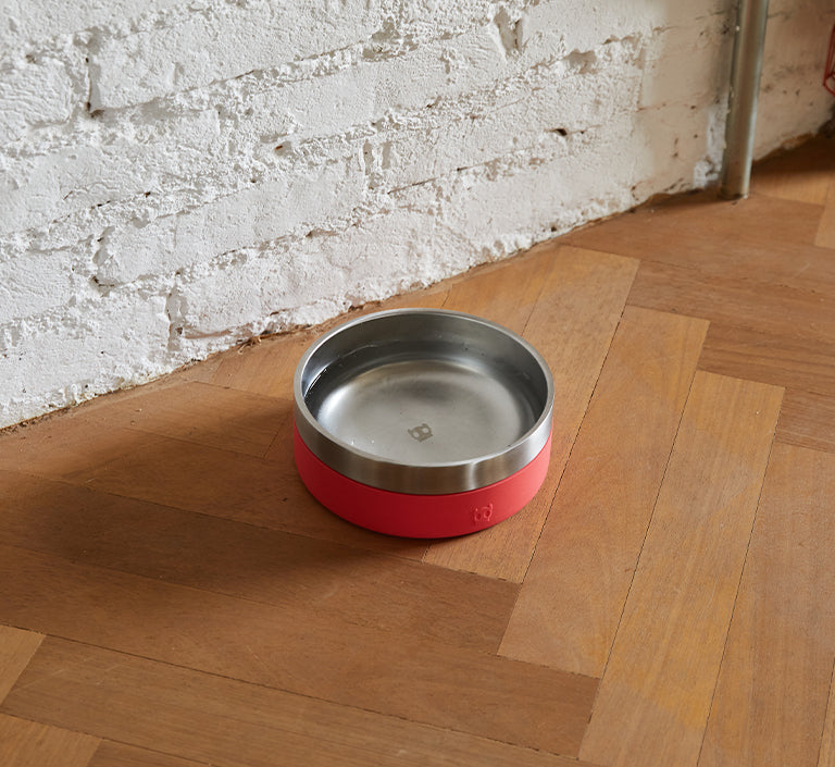 Coral | Tuff Bowl