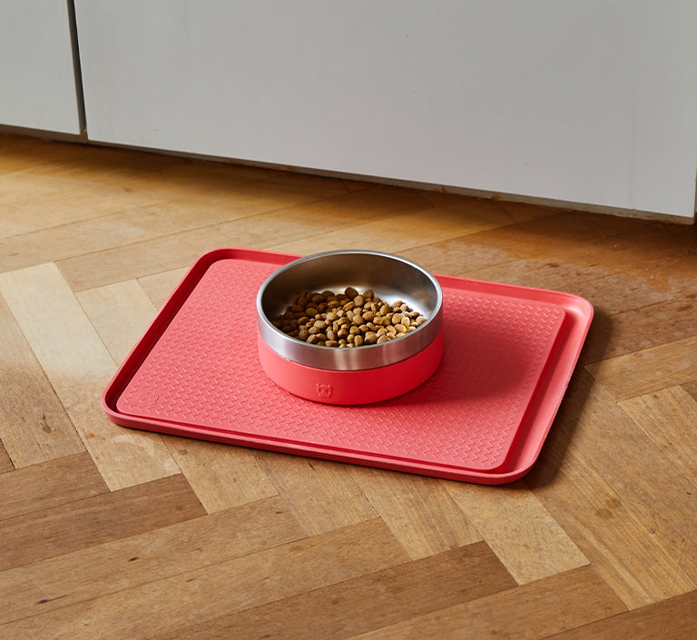 Coral | Tuff Bowl