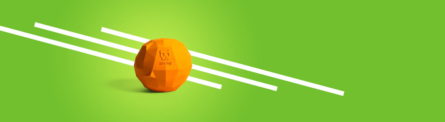 Super Orange Dog Toy | Zee.Dog