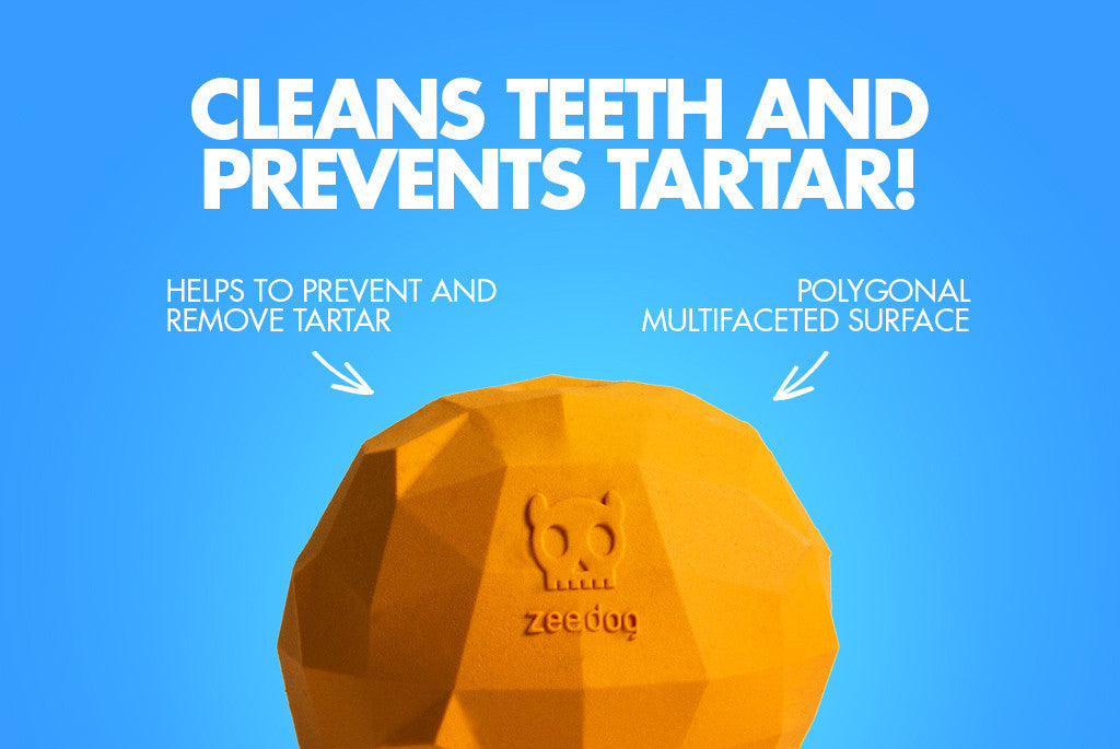 Super Orange Dog Toy - Cleans Teeth | Zee.Dog