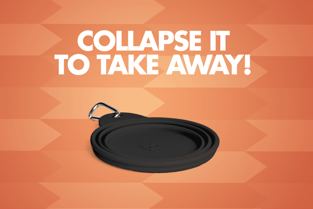 Black Go Bowl - Collapse it to take Away | Zee.Dog